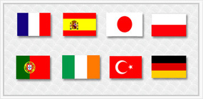 Multi - Lingual Web Sites